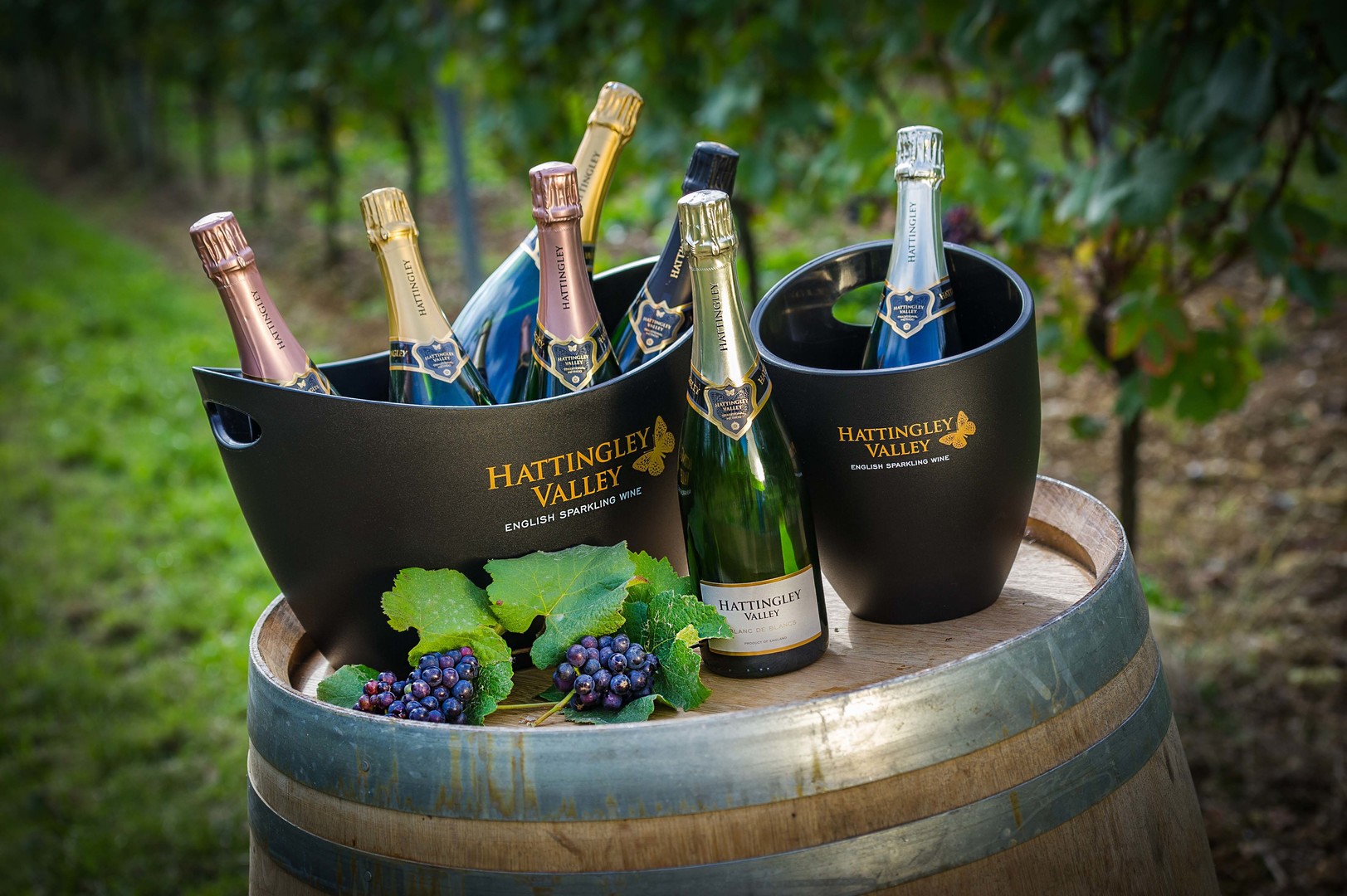 Hattingley Valley hamper.