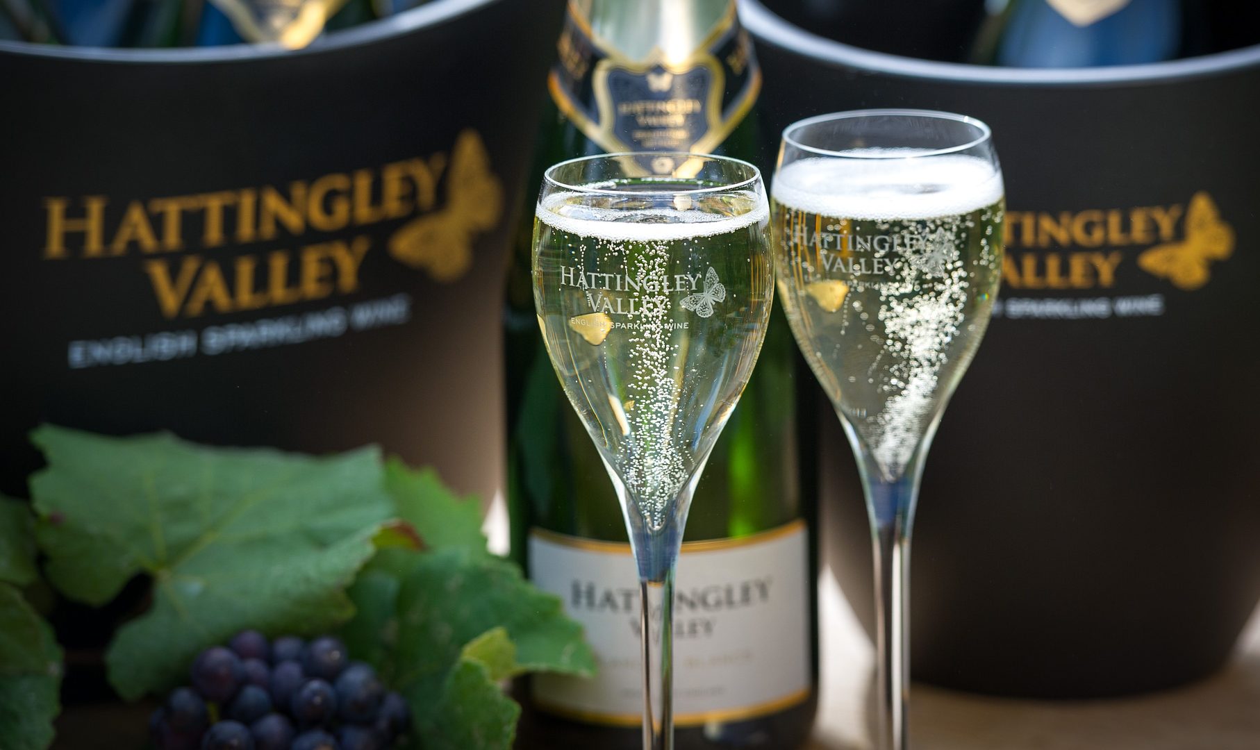 Hattingley Valley return to Members Area with English Sparkling Wine Bar