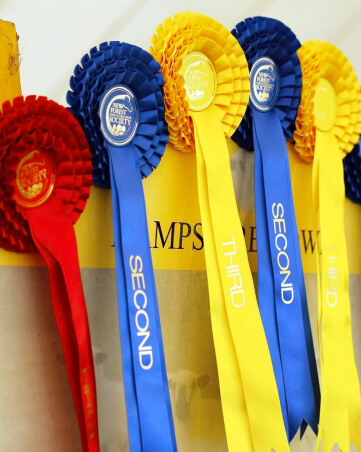 Photo of competition badges at The New Forest Show.