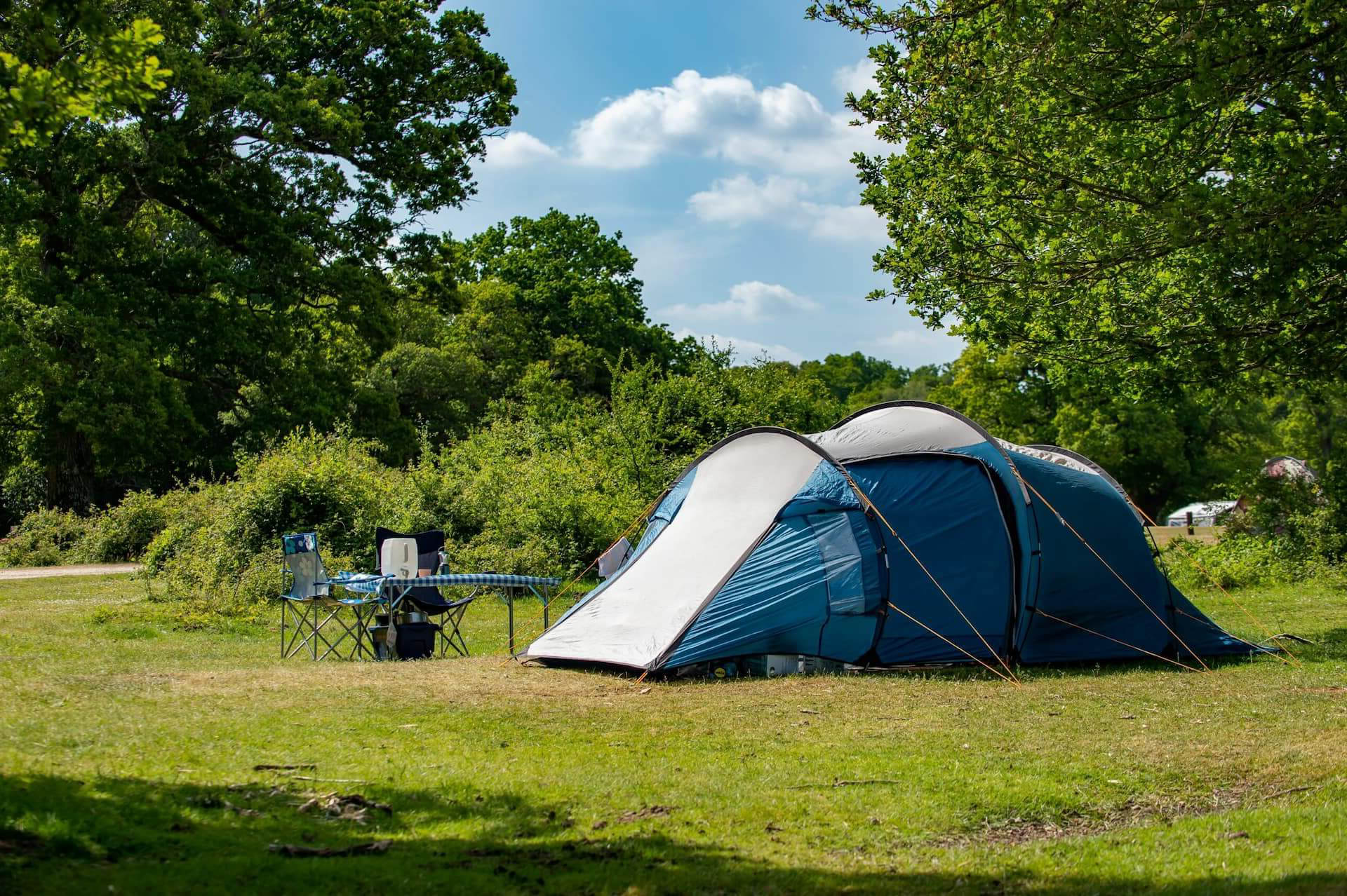 Camping among the trees in the New Forest