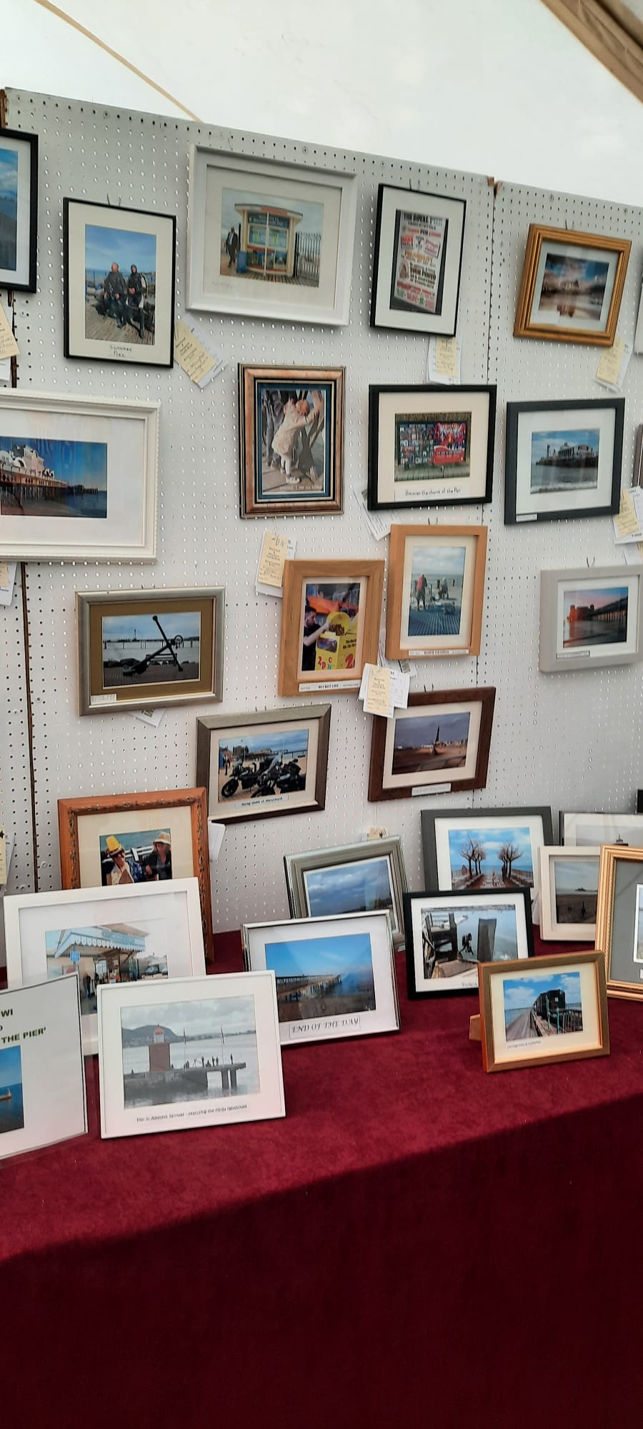 A Wonderfully Wild Year for the WI Tent