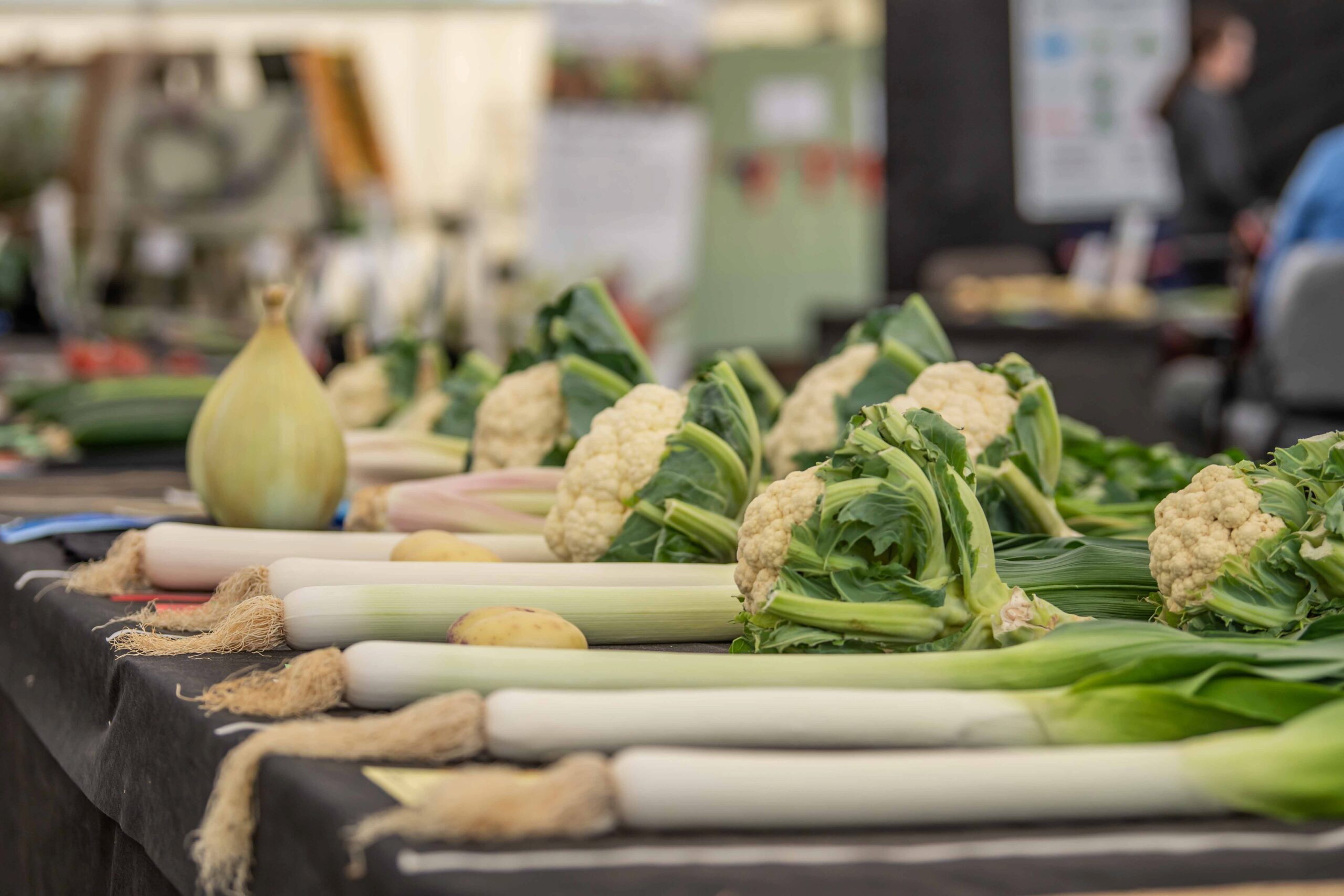 What Makes the Vegetable Tent a Must-See at the New Forest Show