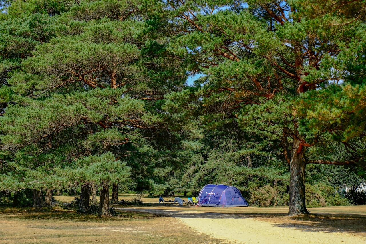 Where to Stay for the New Forest Show: Camping Next Door & Nearby Accommodation