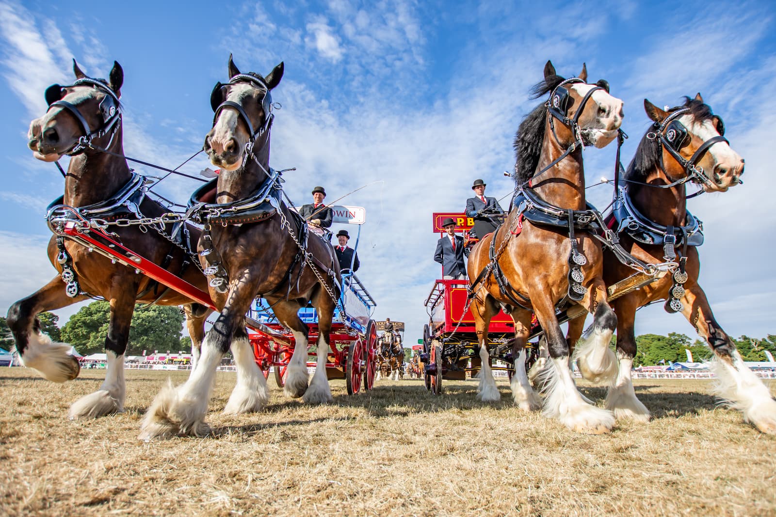 Crowds enjoying the New Forest Show
