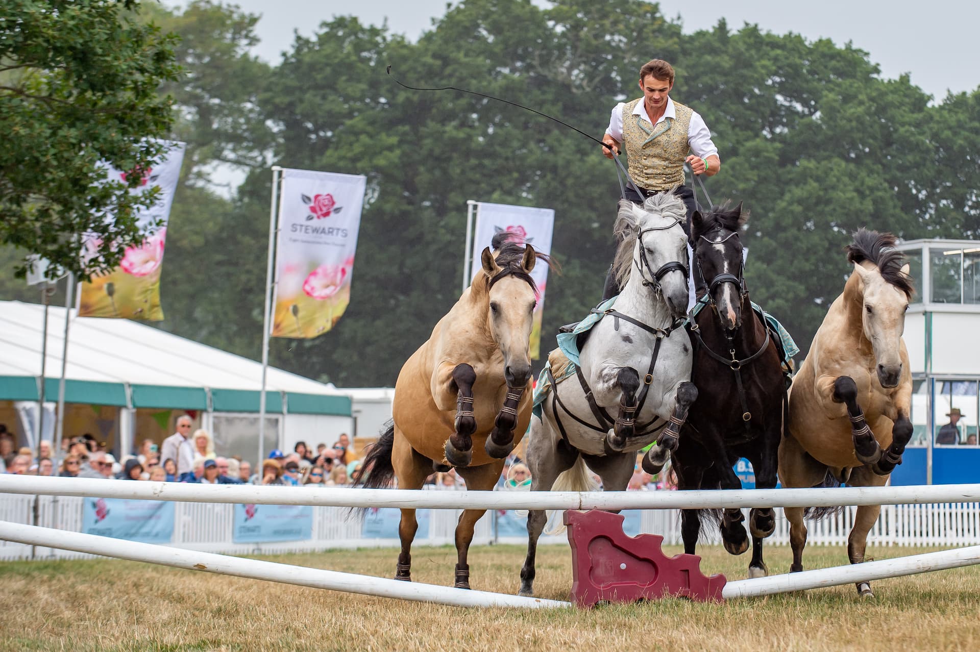 Atkinson Action Horses performing in the main ring