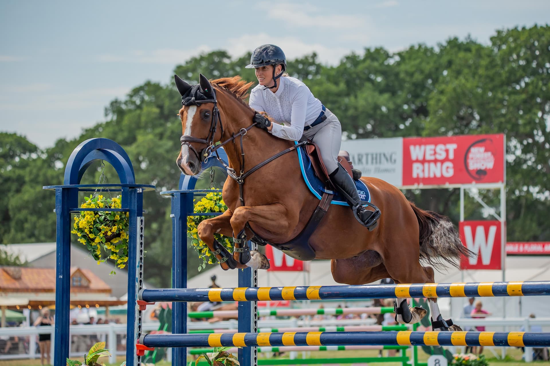 Show jumping at the New Forest Show