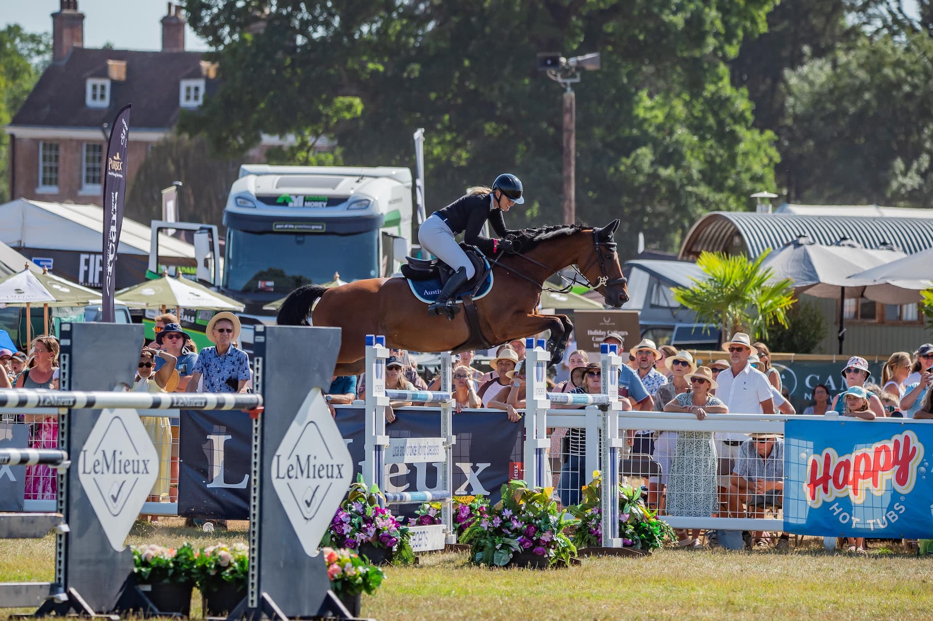 Equine competitions at the New Forest Show