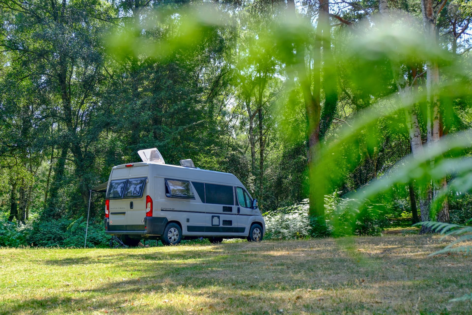 Camping in the New Forest