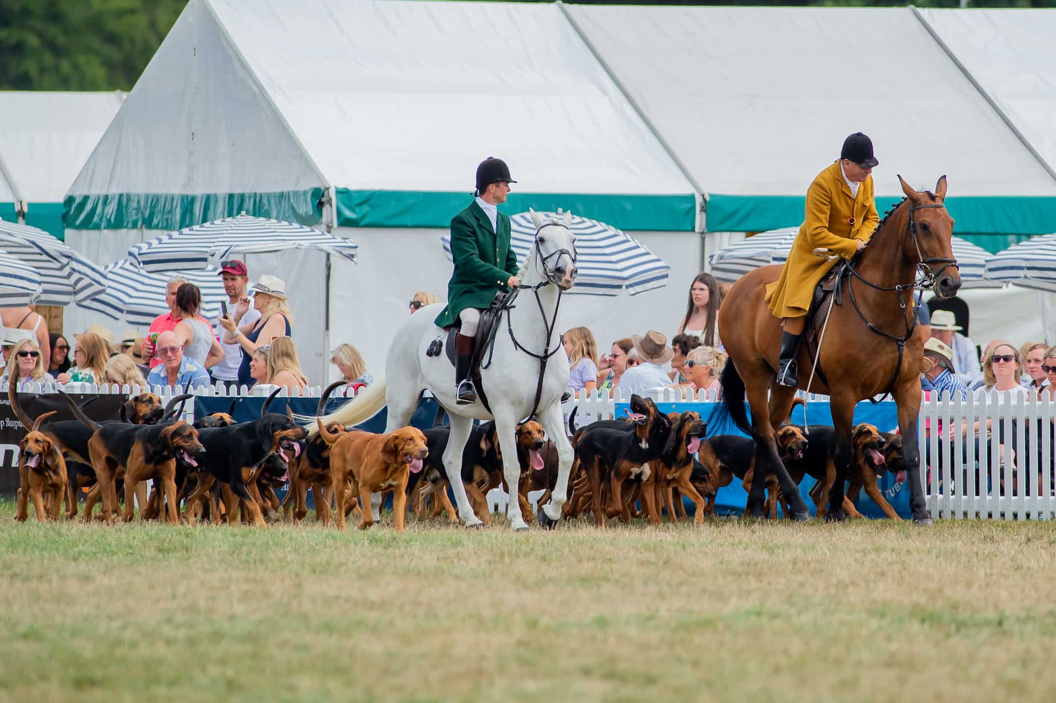The Hound Parade in the main ring